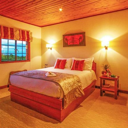 The Ark Lodge เนย์รี ภายนอก รูปภาพ