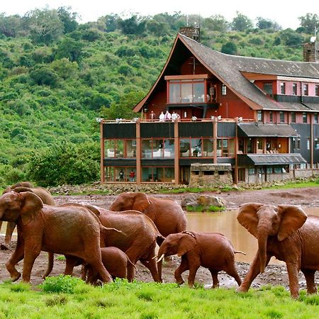The Ark Lodge เนย์รี ภายนอก รูปภาพ