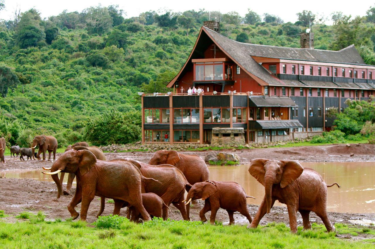 The Ark Lodge เนย์รี ภายนอก รูปภาพ