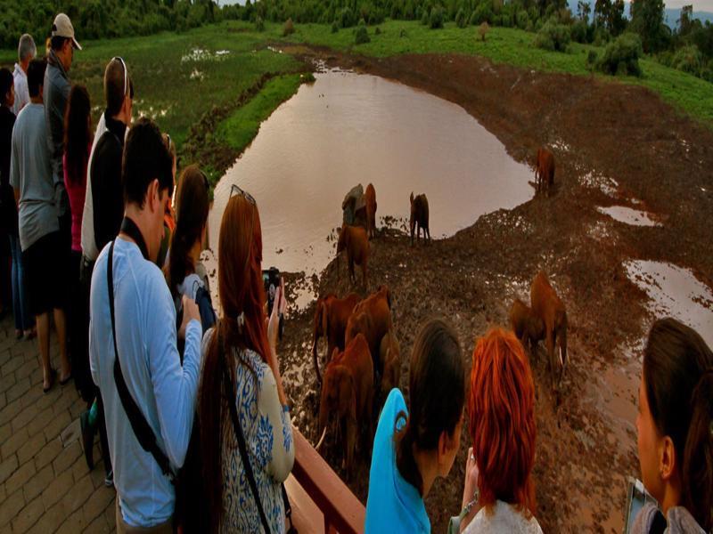 The Ark Lodge เนย์รี ภายนอก รูปภาพ