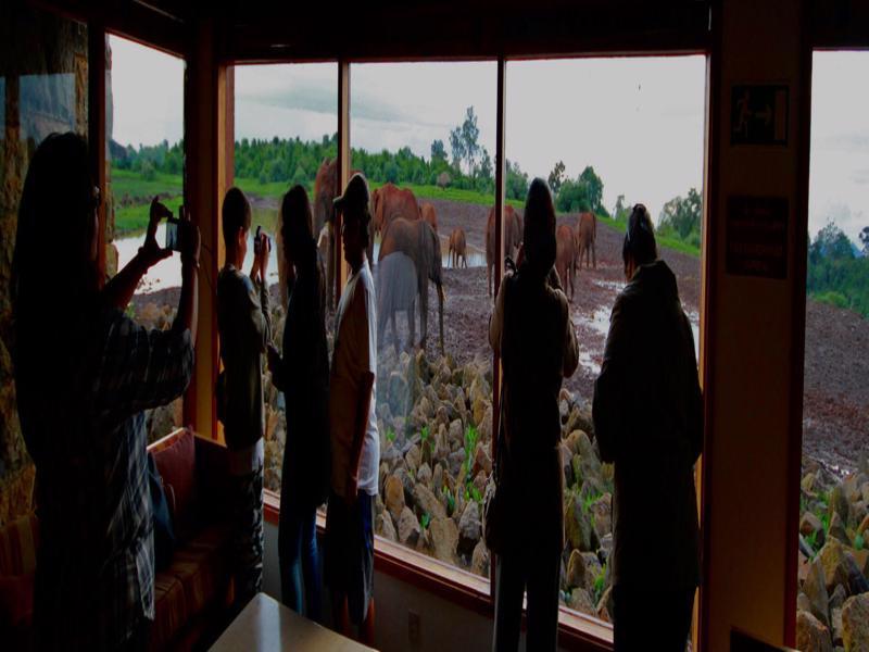 The Ark Lodge เนย์รี ภายนอก รูปภาพ